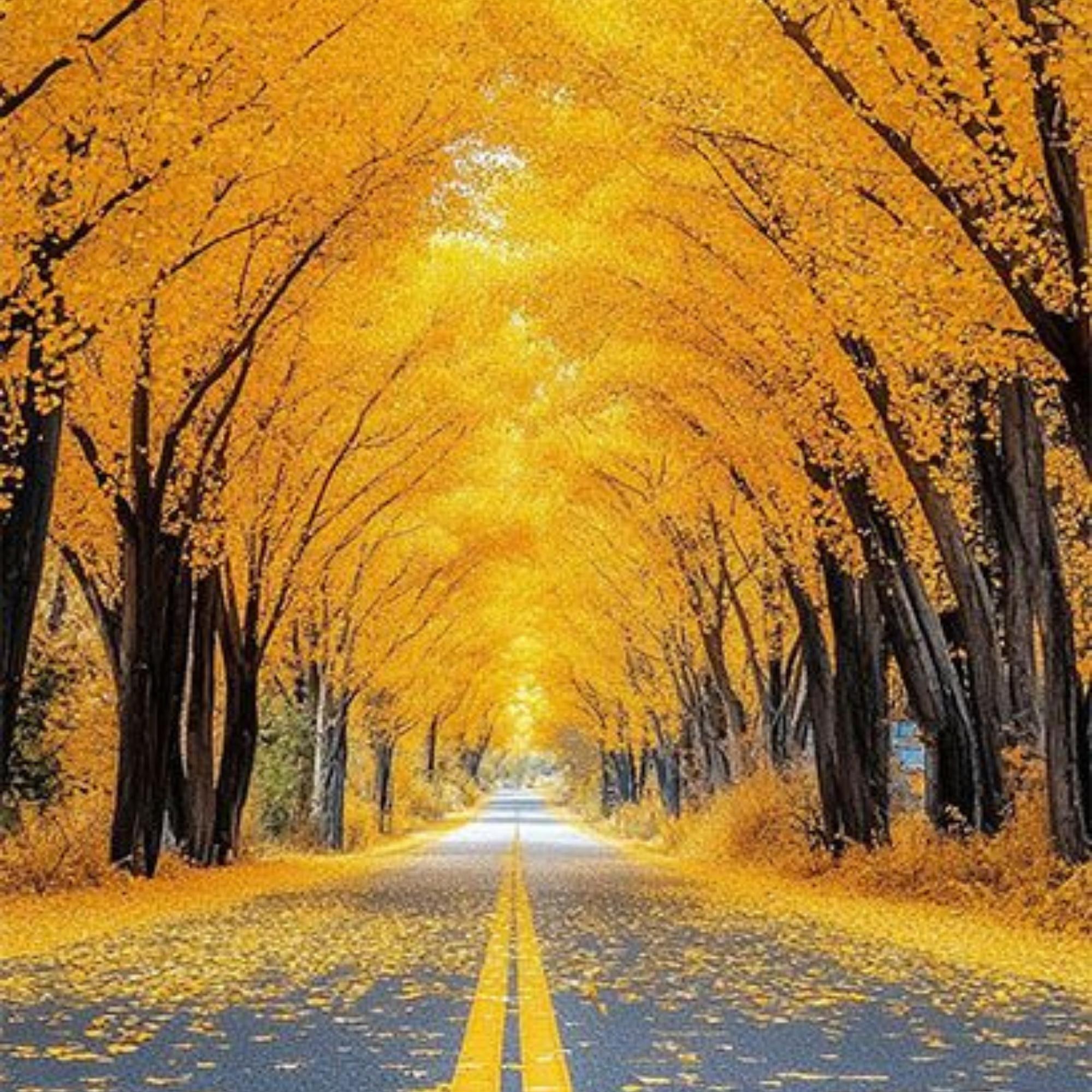 Autumn Road Scenic Fall Forest Print Plush Fleece Throw Blanket