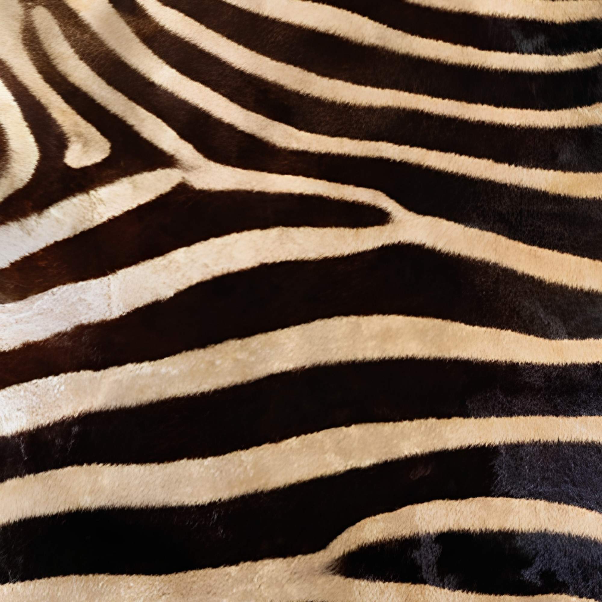 Brown Zebra Pattern Print Plush Fleece Throw Blanket
