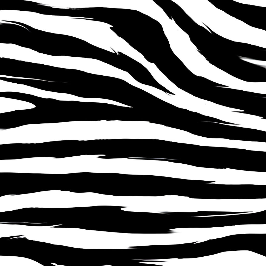 Cartoon Zebra Pattern Print Plush Fleece Throw Blanket