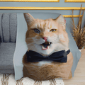 Cat with a Bow Tie Plush Fleece Throw Blanket