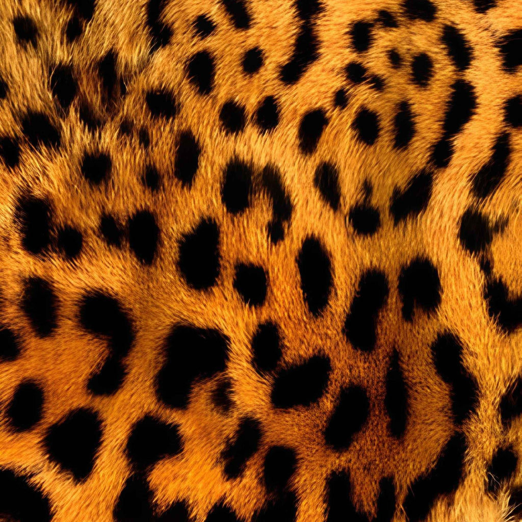 Classic Leopard Pattern Print Plush Fleece Throw Blanket
