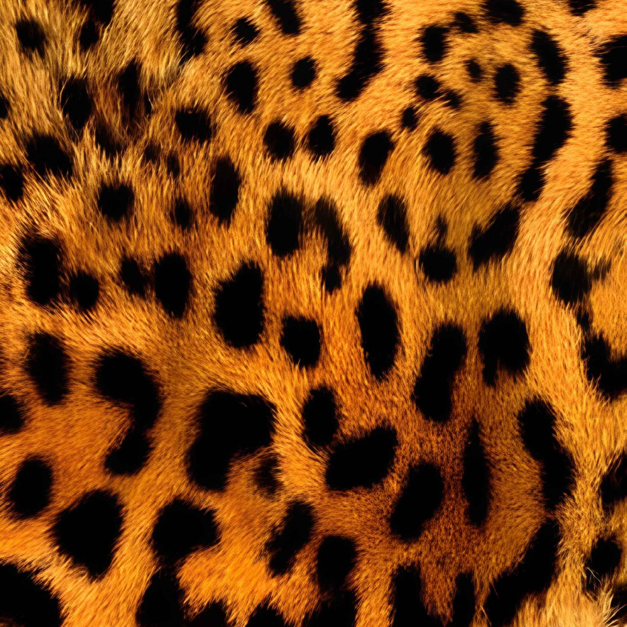 Classic Leopard Pattern Print Plush Fleece Throw Blanket