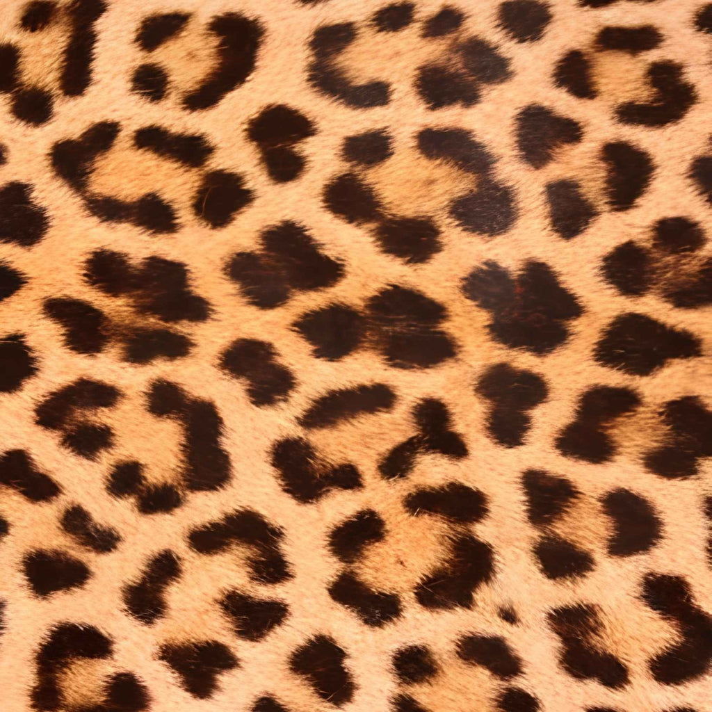 Classic Leopard Spot Pattern Print Plush Fleece Throw Blanket