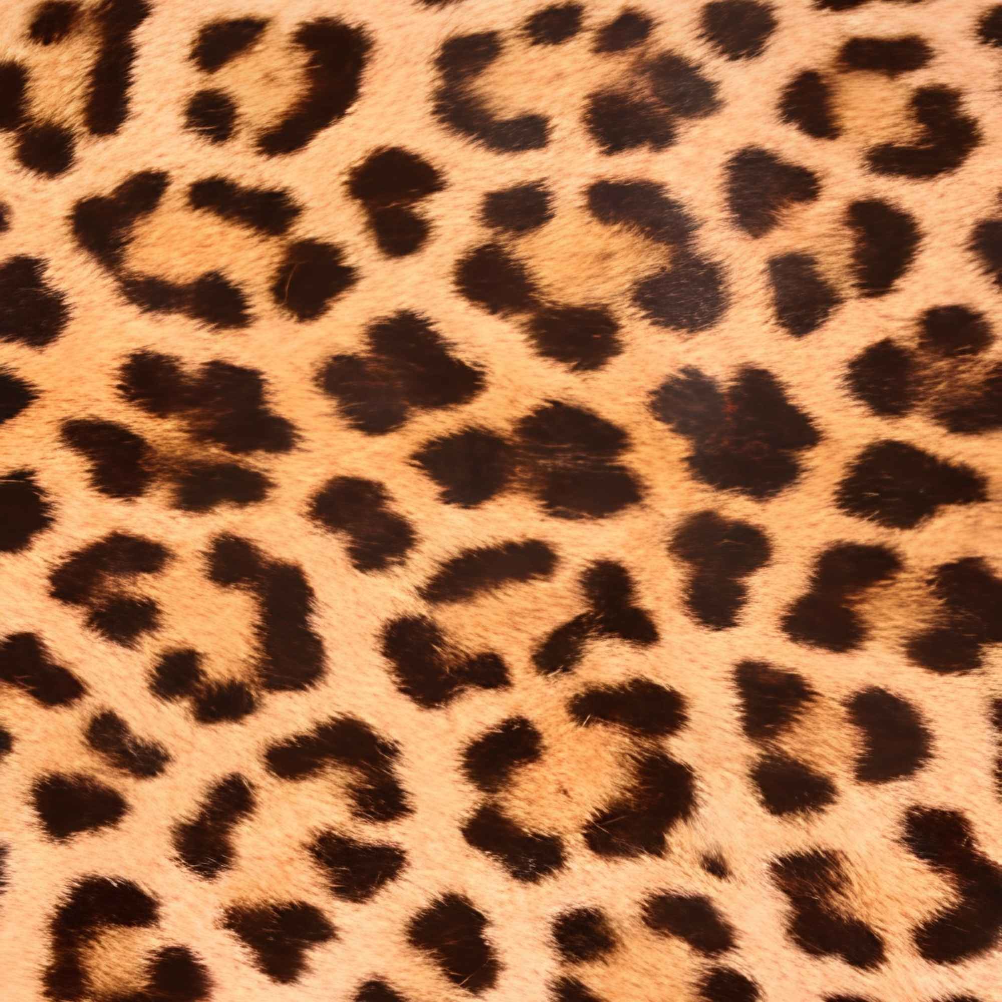 Classic Leopard Spot Pattern Print Plush Fleece Throw Blanket