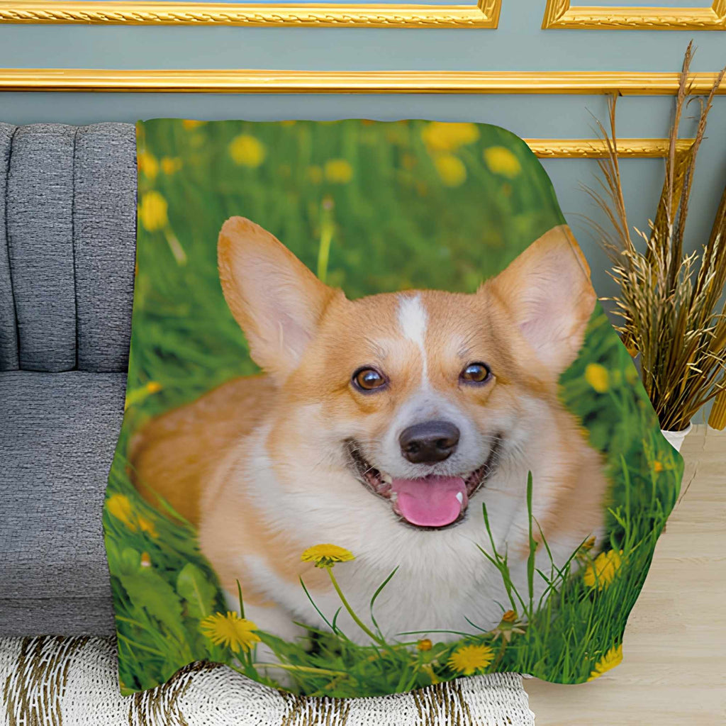 Corgi Playful Pattern Print Plush Fleece Throw Blanket