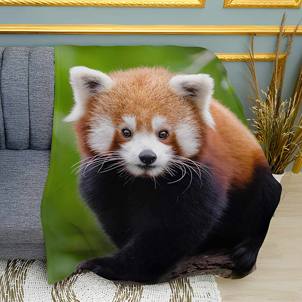 Fluffy Red Panda Forest Scene Print Plush Fleece Throw Blanket