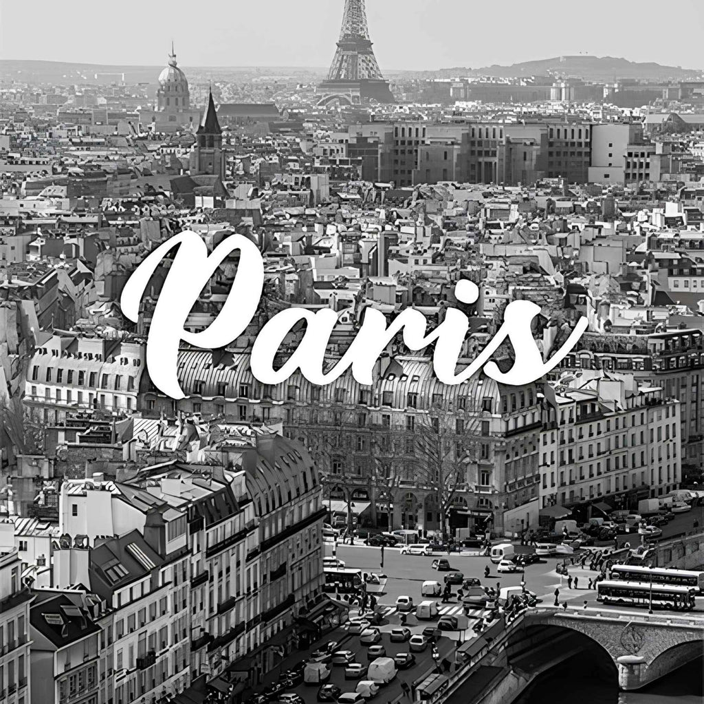 Paris Panorama Cityscape Print Plush Fleece Throw Blanket