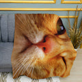 Red Cat Winking Print Plush Fleece Throw Blanket