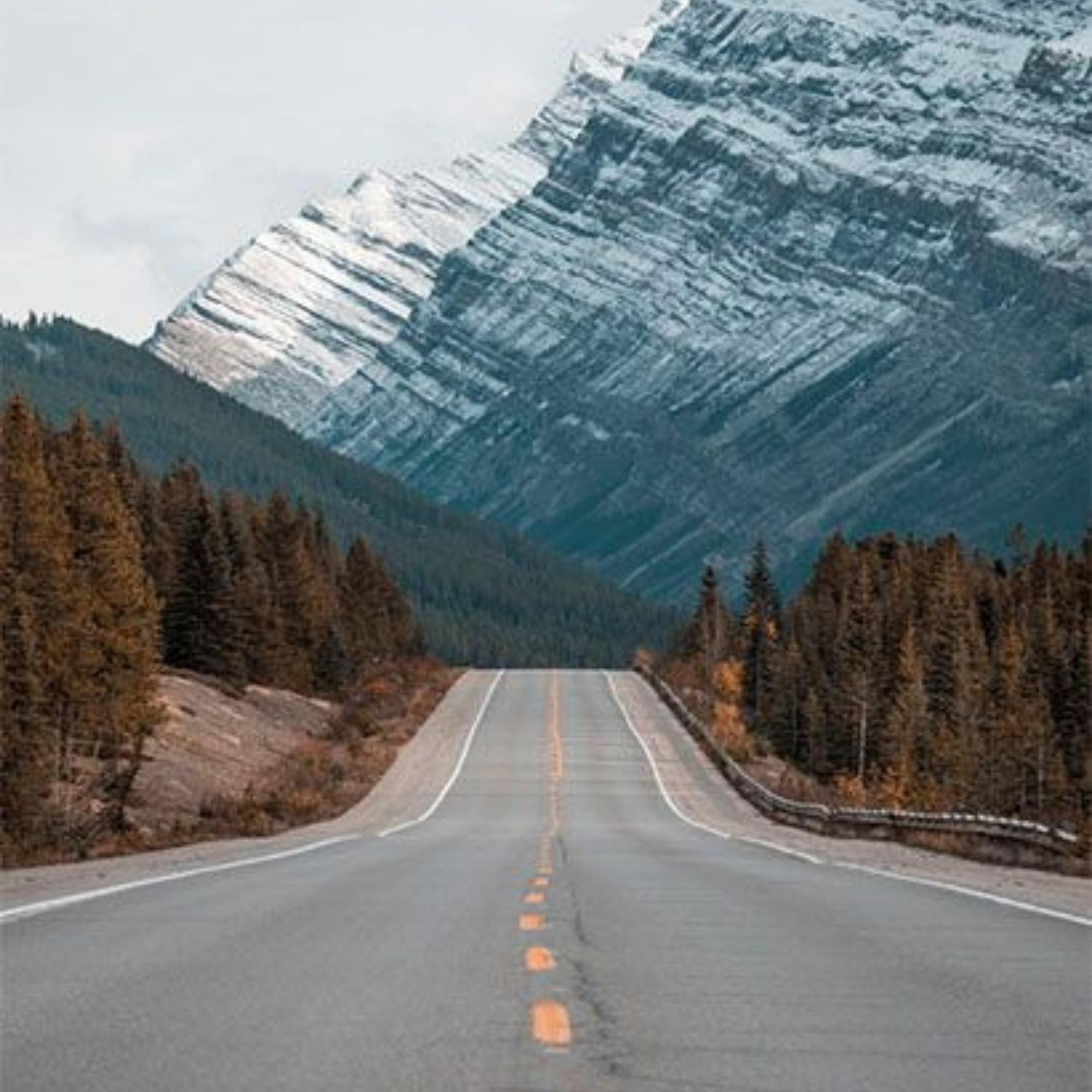 Road Through the Mountains Print Plush Fleece Throw Blanket