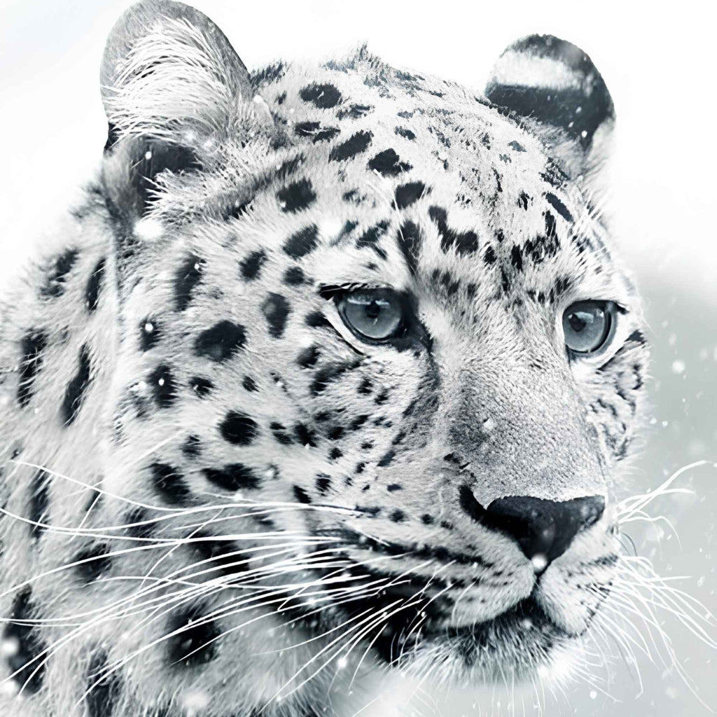 Snow Leopard Animal Print Plush Fleece Throw Blanket