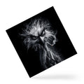 bold eagle Graphic Square Scarf